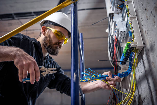 Best 24-Hour Electrician  in St Charles, MI
